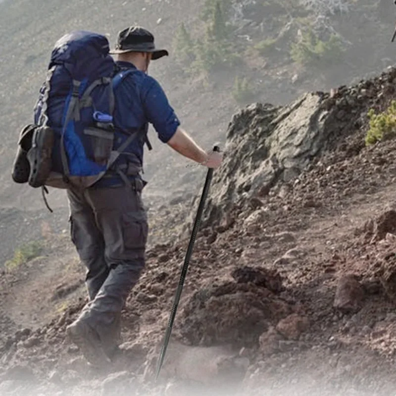 Aluminium Alloy Multifunction  - Trekking Pole Carbon 리뷰 및 가격