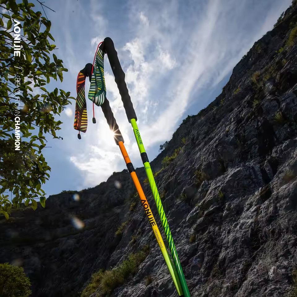 AONIJIE Carbon Fibre Hiking Po - Trekking Pole Carbon 리뷰 및 가격