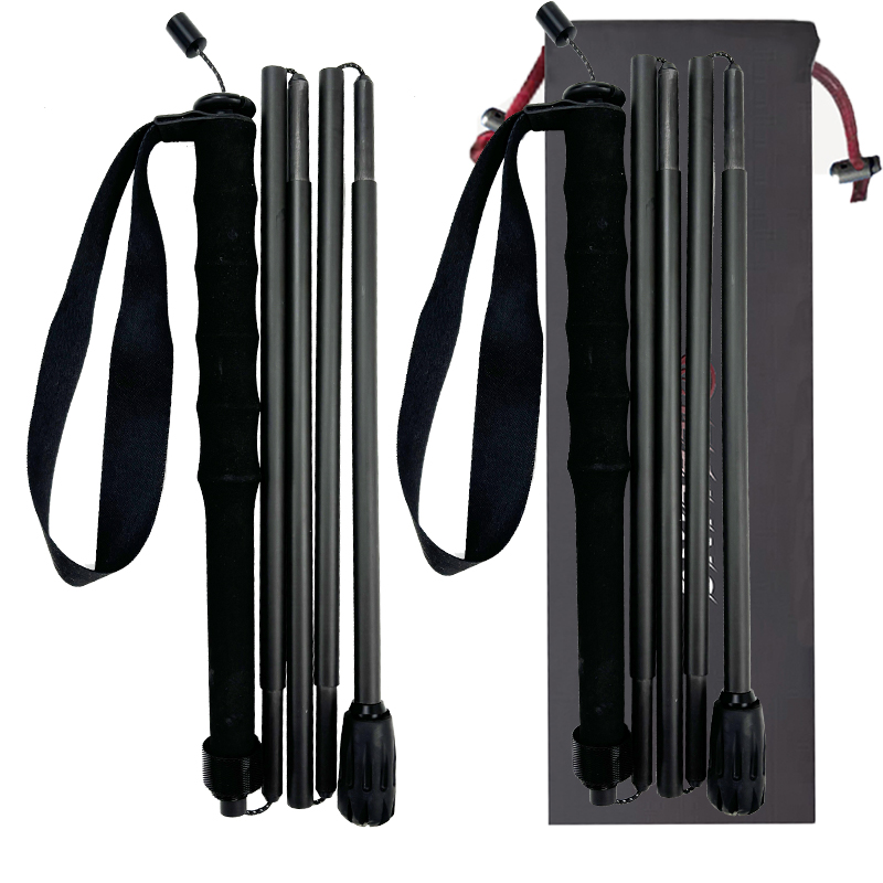 Carbon Fiber Hiking/Trekking P - Trekking Pole Carbon 리뷰 및 가격