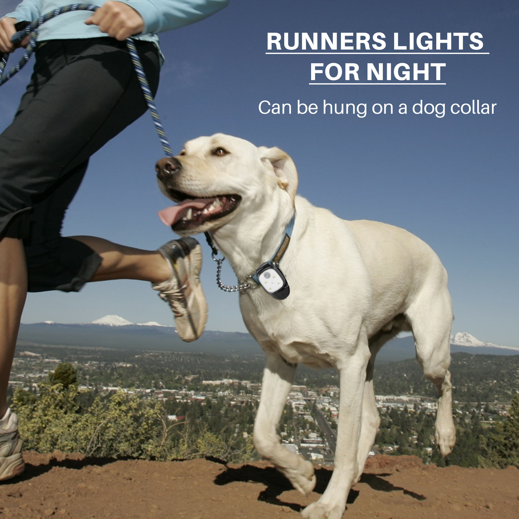 XSXS-Outdoor Night Clip On Run - Running Gear Lights 리뷰 및 가격