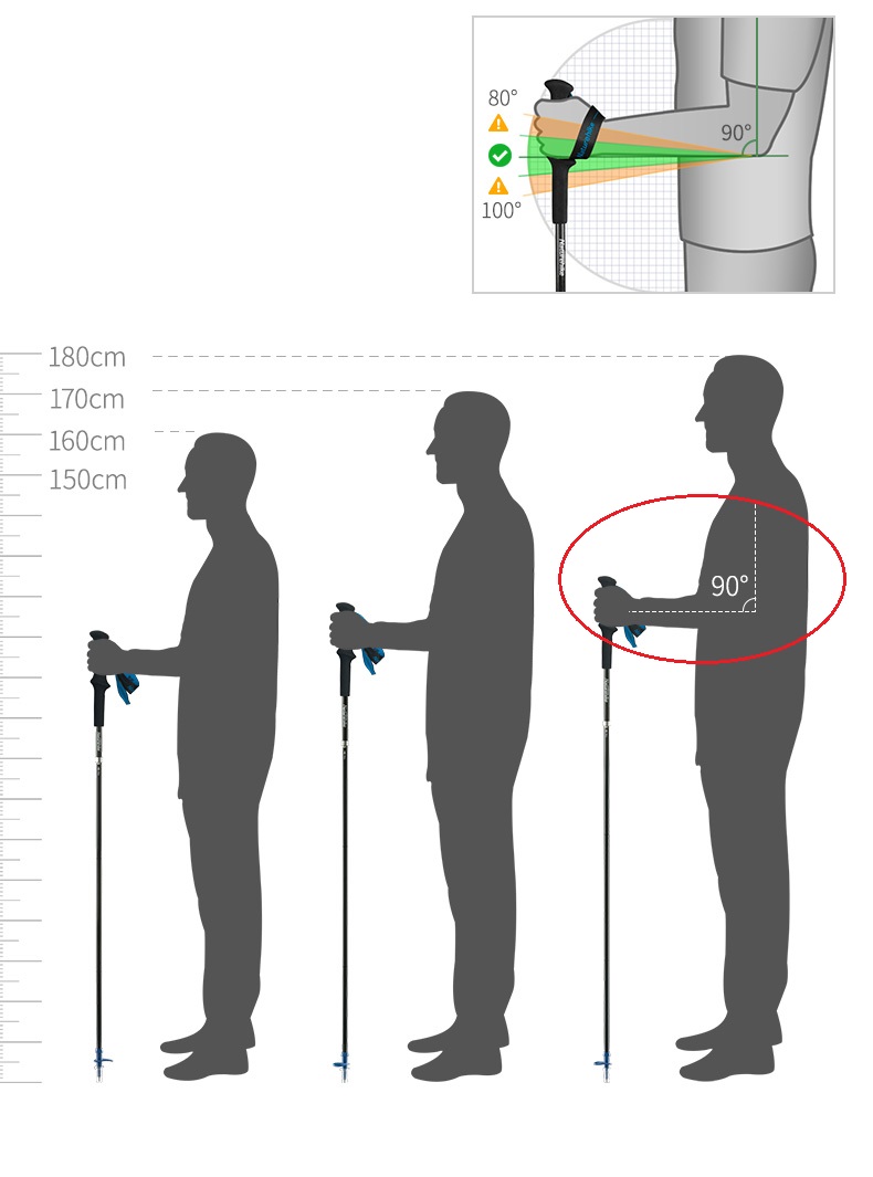 PIONEER Carbon Fiber Trekking  - Trekking Pole Carbon 리뷰 및 가격