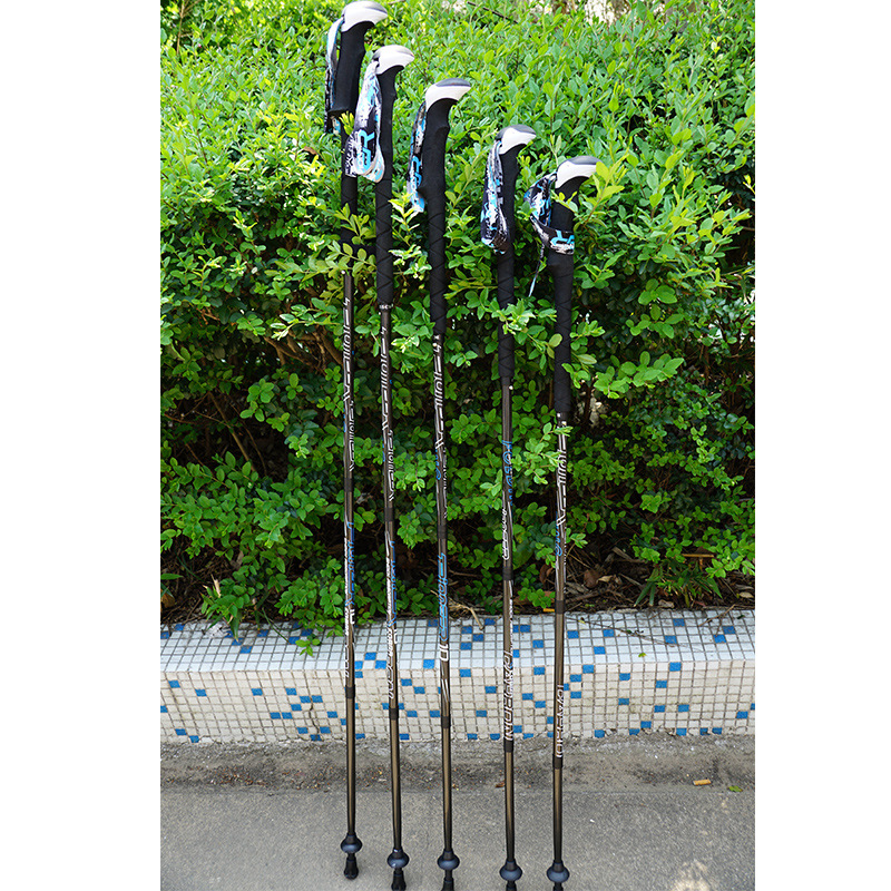 PIONEER Carbon Fiber Trekking  - Trekking Pole Carbon 리뷰 및 가격